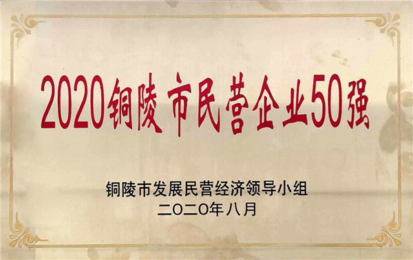 2020年铜陵市民营企业50强