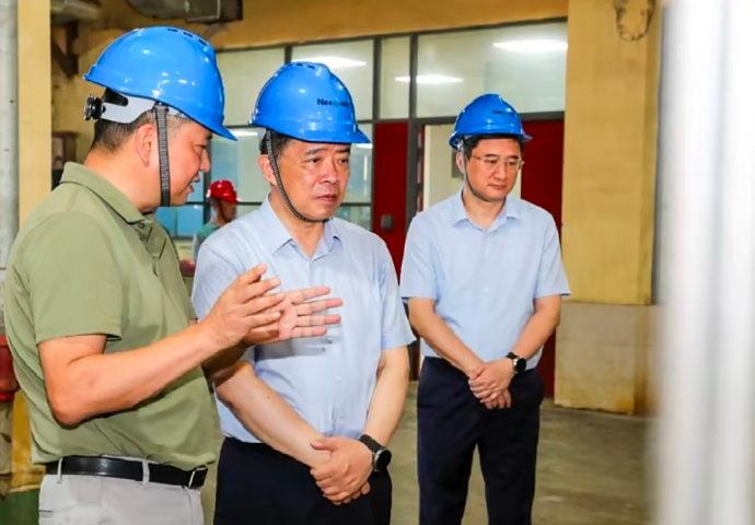 铜陵市委书记杨宏星一行来公司调研